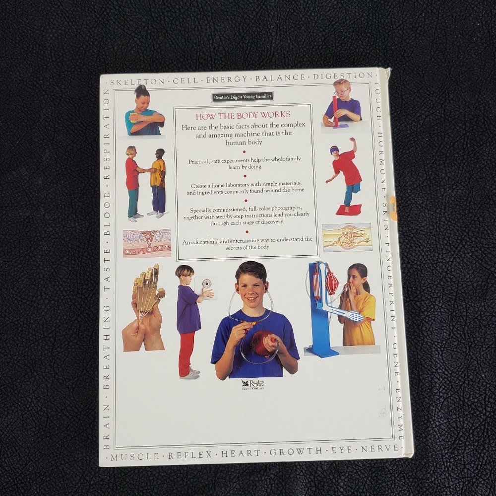 How the Body Works Book! - Picture 9 of 11